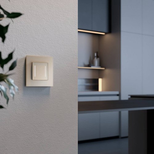 Рамка Werkel W0013111/ Рамка на 1 пост Senso (шампань, стекло soft-touch)