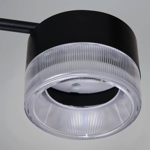 Подвесная люстра Reluce 19490-0.4-6+6 Black