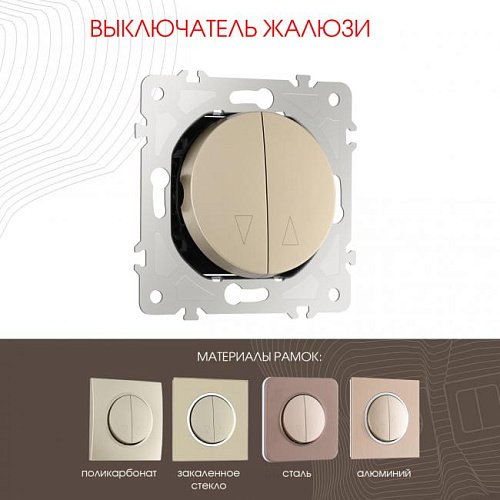 202.38-2.shampan Выключатель Arte Milano Am-202 202.38-2.shampan