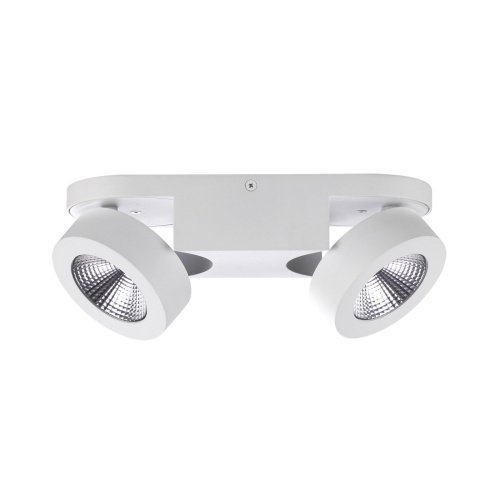 Светильник спот Odeon Light Laconis 3538/2WL