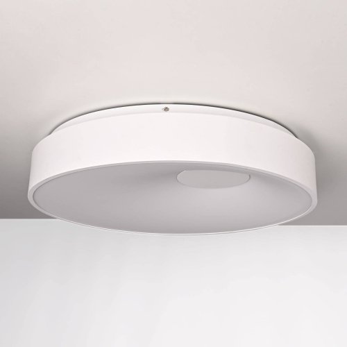 Светильник потолочный ImperiumLoft Ecla01 101547-26