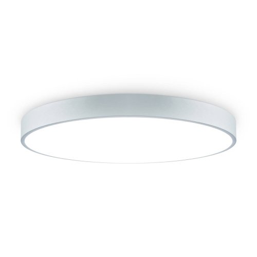 FR6129CL-L80GR Потолочный светильник Сприда / Sprida Freya FR6129CL-L80GR
