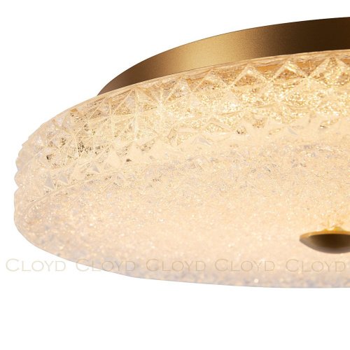 Потолочная люстра Cloyd Acrux 10875