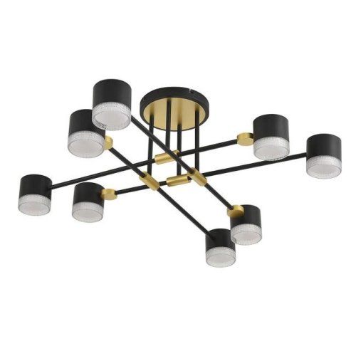 Потолочная люстра Lumion Leniana 8307/8C