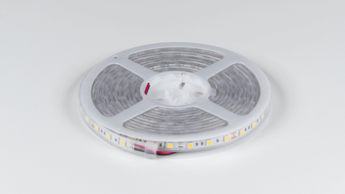 DSG560-12-NW-65 Светодиодная лента SWG DesignLed DSG560 DSG560-12-NW-65