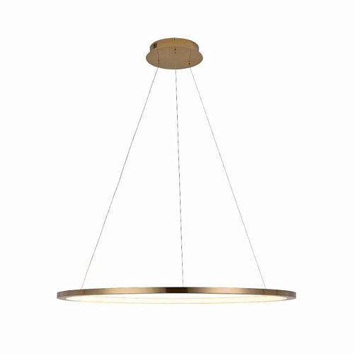 Светильник подвесной Loft It Ring 10014L