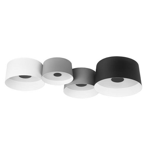 10360/4 Светильник потолочный Loft It Duo 10360/4