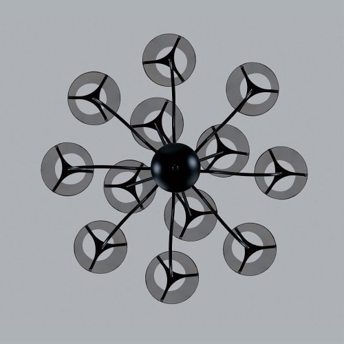 Потолочная люстра Lumion Smoky 6570/12C