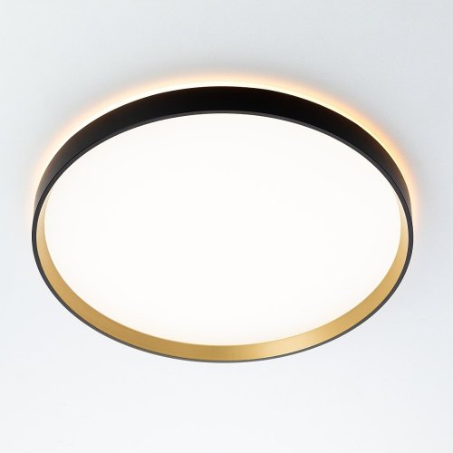 Светильник потолочный Citilux ETALON CL750401R