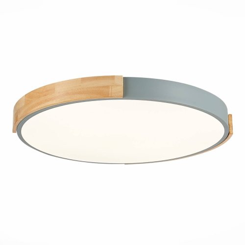 SLE201372-01 Светильник потолочный Evoluce Delia SLE201372-01