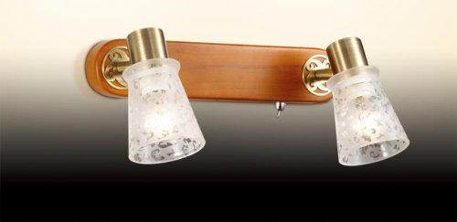 2614/2W Светильник спот Odeon Light Blanca 2614/2W