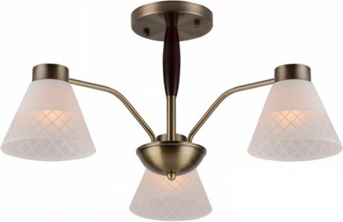 Потолочная люстра 00536-0.3-03