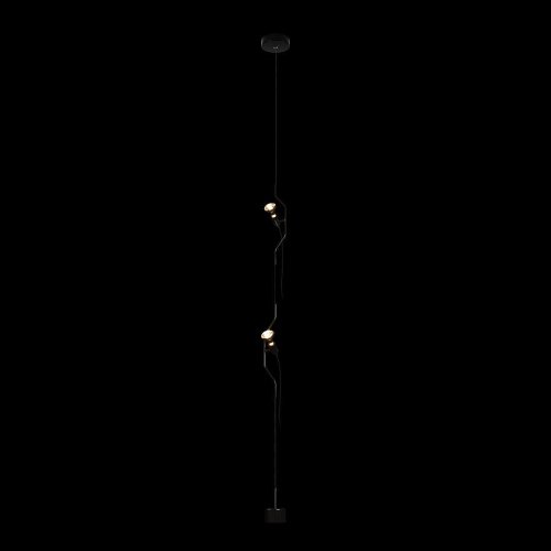 Светильник подвесной Loft It Parentesi 10346/2 Black