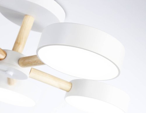 FL4825 Потолочная люстра Ambrella LineTech FL4825