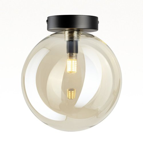 CL202512 Светильник потолочный Citilux Orton CL202512