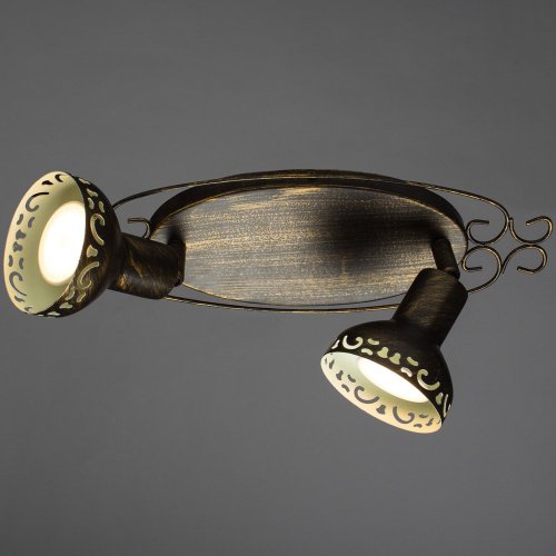 A5219AP-2BR Светильник спот Arte Lamp FOCUS A5219AP-2BR