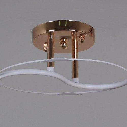 Потолочная люстра 06003-0.3-02 FG+WT