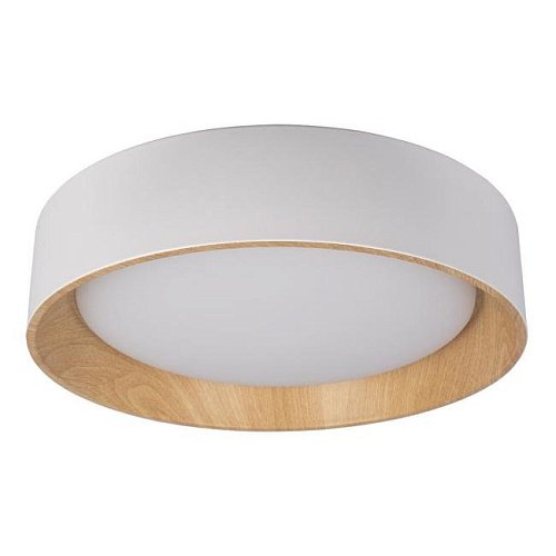 10202 White Светильник потолочный Loft It Coin 10202 White