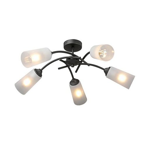 V2850-1/5PL Потолочная люстра Vitaluce V2850-1/5PL