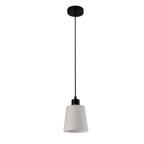 Светильник подвесной Escada Clarity 120004/1P E27*60W Black ES0000041