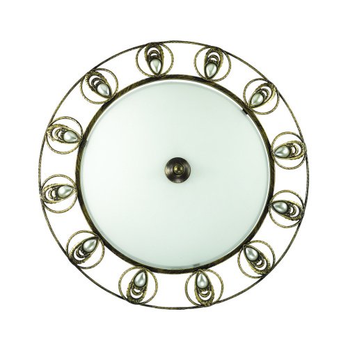 Настенно потолочный светильник Odeon Light Kanti 3484/2С