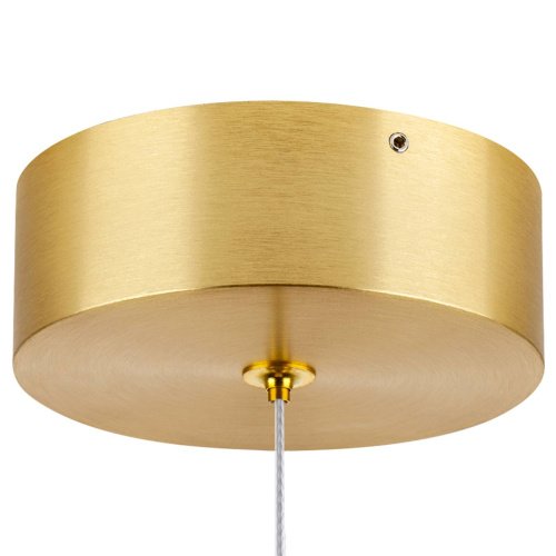 Светильник подвесной Lightstar Colore 805403