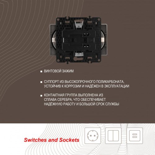 Розетка Arte Milano Am-217 217.40-2.shampan