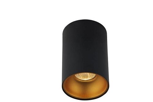 CLT 411C BL-GO Накладной светильник Crystal Lux Clt 411 CLT 411C BL-GO