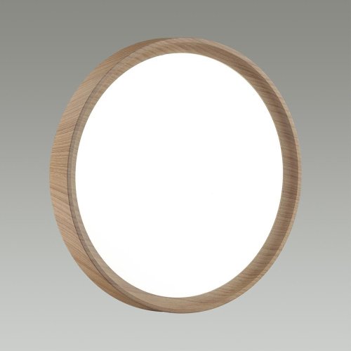 Настенно потолочный светильник Sonex Woodi 7603/ELN