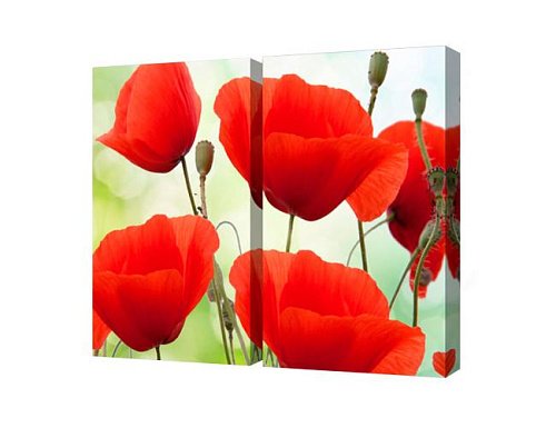 TL-M2013 Модульные картины Toplight Цветы TL-M2013