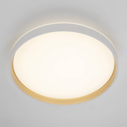 Светильник потолочный Citilux Enzo CL753510G