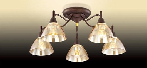 2625/5C Потолочная люстра Odeon Light Treves 2625/5C