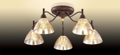 Потолочная люстра Odeon Light Treves 2625/5C
