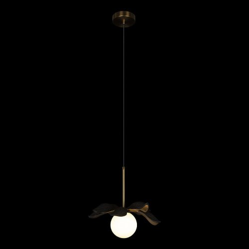 Светильник подвесной Loft It Monro 10213/A Black