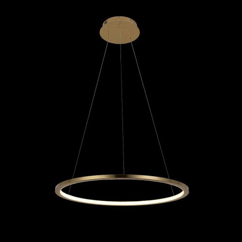 Светильник подвесной Loft It Ring 10014M