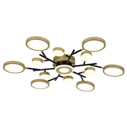 Потолочная люстра F-Promo Hybrid 4686-13C