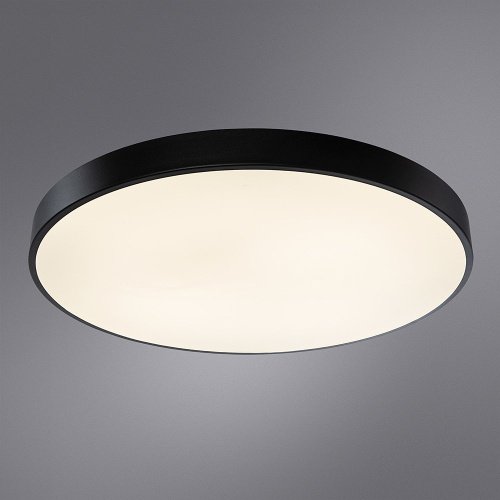 Потолочный светодиодный светильник Arte Lamp Arena A2673PL-1BK