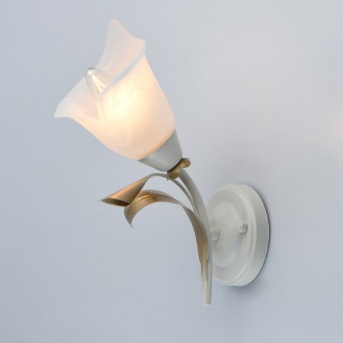 242027601 Настенное бра MW Light Восторг 242027601