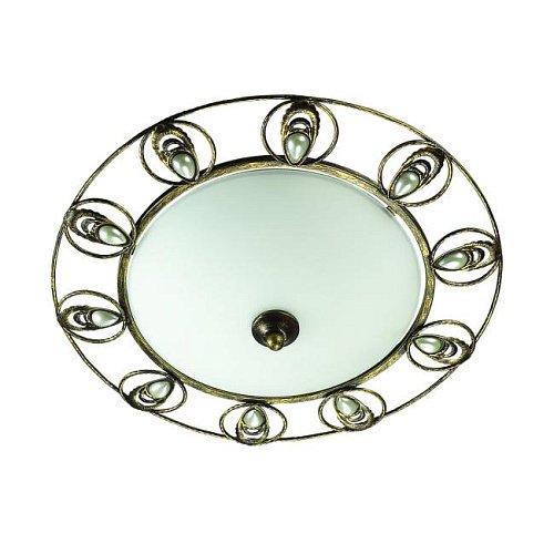 Настенно потолочный светильник Odeon Light Kanti 3484/2С