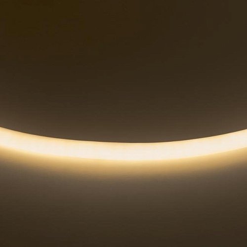 Светодиодный шнур Lightstar Neolid 430202