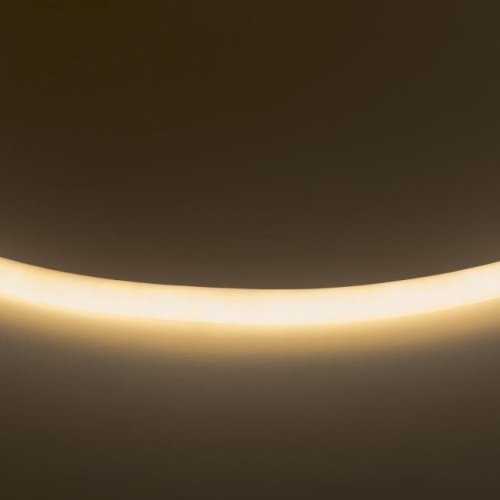 Светодиодный шнур Lightstar Neolid 430202