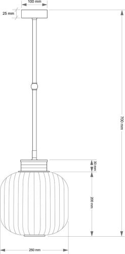 Светильник потолочный Kutek Alba ALB-ZW-1(P)250