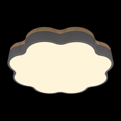 Светильник потолочный Loft It Axel 10225/36 Grey