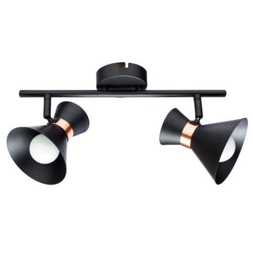 A1406AP-2BK Светильник спот Arte Lamp A1406AP-2BK