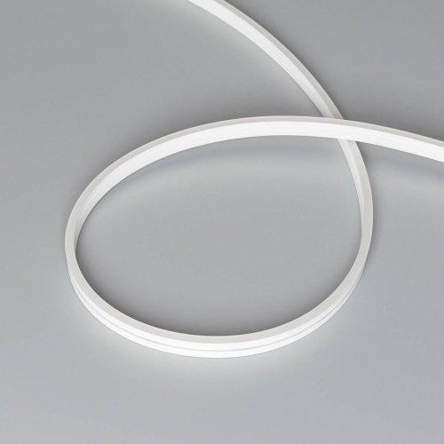 038314 Светодиодный шнур Arlight Moonlight 038314