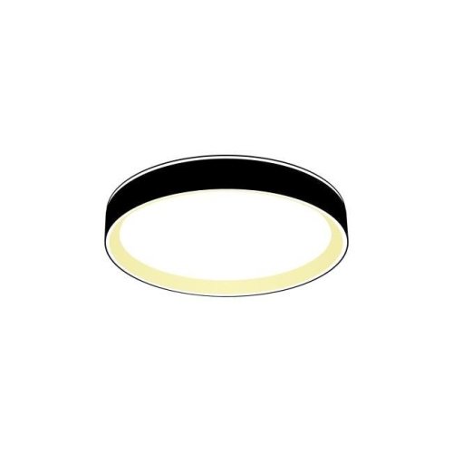 Светильник потолочный Citilux Boss CL751251G