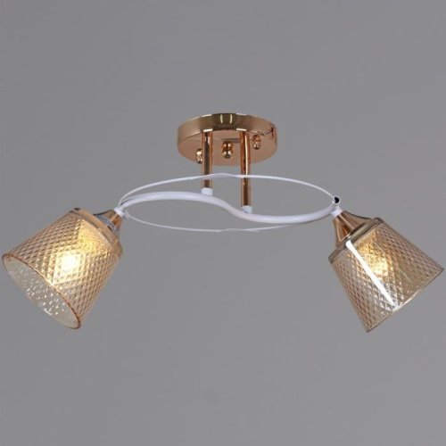 Потолочная люстра 06003-0.3-02 FG+WT