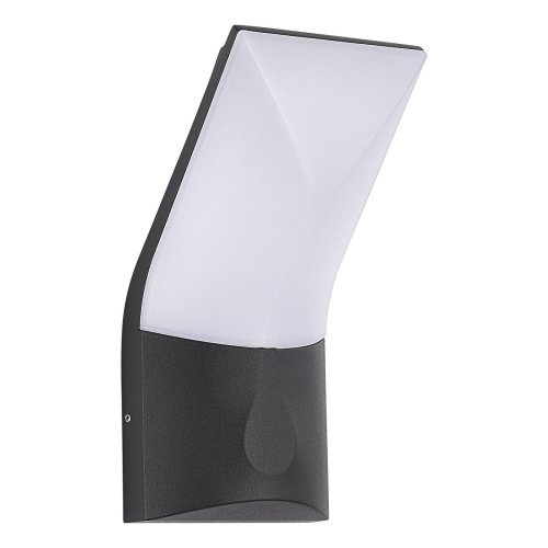 Уличный настенный светильник ST Luce Bright SL9543.701.01