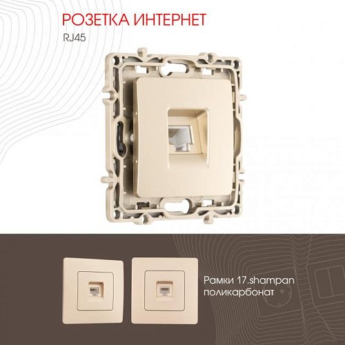 217.45-1.shampan Розетка Arte Milano Am-217 217.45-1.shampan