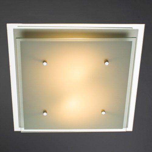 A4868PL-2CC Настенно потолочный светильник Arte Lamp RAPUNZEL A4868PL-2CC